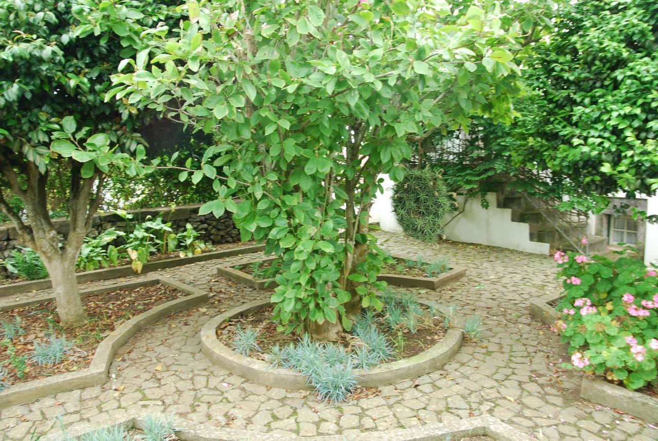 Villa Quinta Dos Figos "5 Trevos Gold" Praia da Vitória Exterior foto